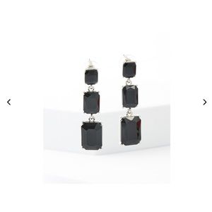 Black and Silver Drop Earrings